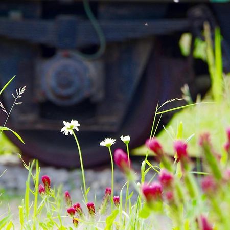 Villa Urlaubsbahnhof-Schlafwagen Lauterbach  Esterno foto
