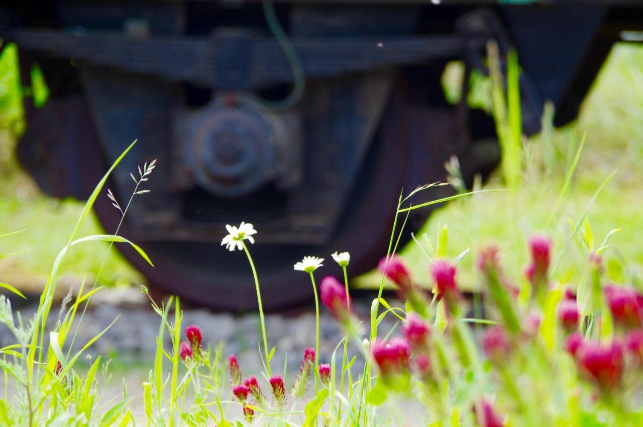 Villa Urlaubsbahnhof-Schlafwagen Lauterbach  Esterno foto